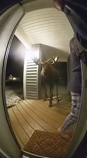 Gamer Forecast on Reels