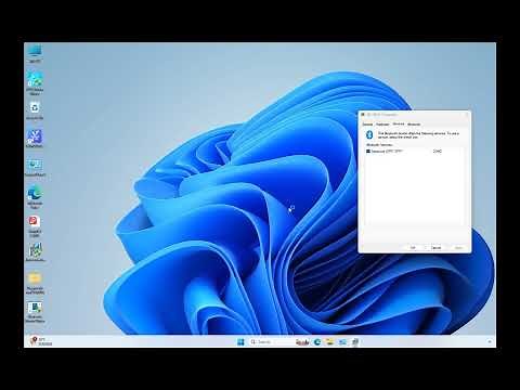 420B (Windows 11) Bluetooth driver installation and printing samples