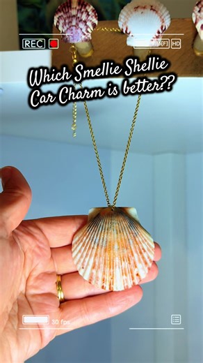 Help, please! Which Smellie Shellie Car Charm do you like better? #shells #beachcombing #seashells #shelljewelry #floridabeaches