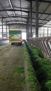 10K views · 186 reactions | Great day and fantastic setup on Pascal Walsh Ardbash farm Edenderry Co Offaly using his Grass Tech GT120 conveying freshly zero grazed grass into his troughs.kenny some pilot #happycows #zerograzeing | Grass Technology | Facebook