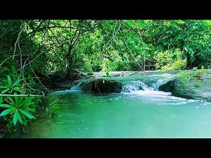 Cascading Waterfall Sound for Sleep | 12 Hours