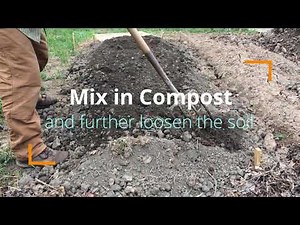 Spading or Forking—Loosening Soil 1' Deep with a Digging Fork