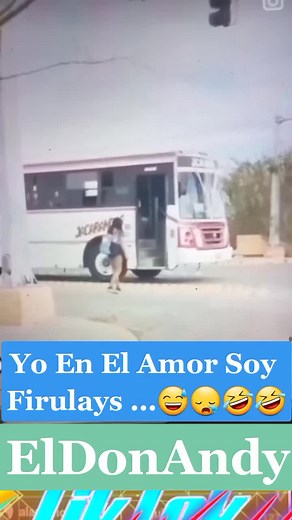 Casual Day Out in Jerusalem with a Small Dog