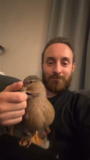 Dad is Best Friends With His Pet Duck