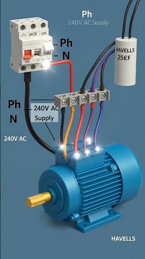 Single Phase Motor Control Circuit Animation | Easy Starter Wiring Explained #motorcontroller