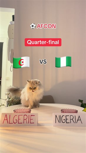 Nigeria vs Algeria: AFCON 2025 Quarter-Final Preview