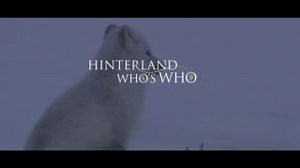 1.7K views · 28 reactions | Meet the #ArcticFox, a tiny yet mighty explorer of Canada’s harshest climates! 力 Despite its small size, this incredible creature is a master of adaptation, thriving in the Arctic’s icy wilderness. Curious to learn more about how this resourceful fox conquers the cold? ️❄️  Watch the full video ➡️ https://ow.ly/tSR250T3ggs Hinterland Who's Who #DoMoreForWildlife | Canadian Wildlife Federation / Fédération canadienne de la faune | Facebook