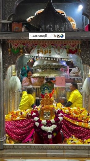 જય બાબારી🙏❤️‍🩹#jaybabari🥰💯 #_trending #love #gogamaharaj #gogasikotar7 #varlivideo #song #sortvideo