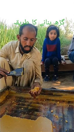 How to make a bastion