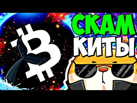 🐋 BTC - THEY SCAMMED AND LEFT.