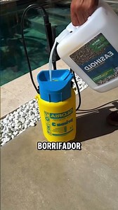 The Secret to Keeping Your Pool With Stones Perfect! #curiosities