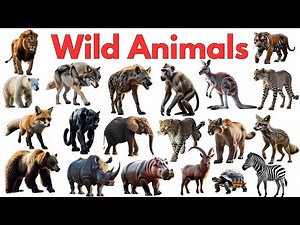 Wild Animals for Kids | Learn 30 Animal Names Step by Step in English