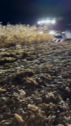 Getting down there on corn! #hffarms #iowacorn #harvest25 | Hartung Family Farms