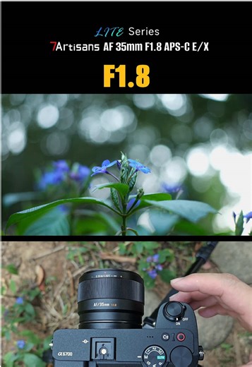 🌸See how bokeh transforms as the aperture changes! Shot on 7Artisans AF 35mm F1.8 LITE APS-C With the large aperture, bokeh fills the frame — soft, dreamy, and magical! E / X mounts | LITE Series AF 25mm / 35mm / 50mm F1.8 APS-C #7Artisans #7ArtisansLITE #7Artisans35mmf18 #photographygear #flowerphotography
