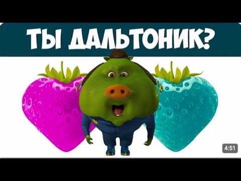 Тест на ДАЛЬТОНИЗМ! |Реакция Зеленого Свина + Перекус|