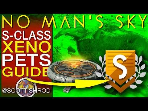 HOW TO GET S-CLASS XENO PETS - Xeno Arena Mission Guide - No Man's Sky Update - NMS Scottish Rod
