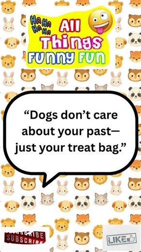 🤣 Funniest Every Day Animal Quotes that you might laugh at or say awww 🤣
