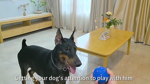 2025 Upgraded Smart Interactive Vibrating Dog Ball Toy, Durable Dog Ball with Automatic Moving, Waterproof Smart Electric Bouncing Balls, Automatic Dog Toy Dogs (Yellow)