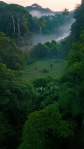 Adobe Generate Ai video samples