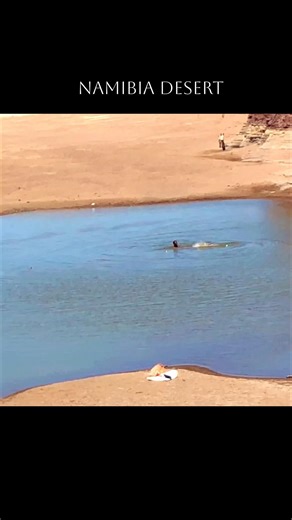 FINDING AN OASIS IN A DRY RIVERBED! 🇳🇦