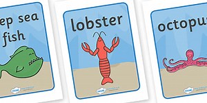 Display Posters to Support Teaching on Commotion In The Ocean