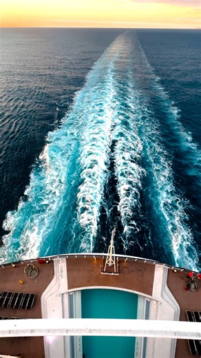 1.7K views · 13 reactions | Here's to more unforgettable moments with MSC Seaview in 2025  Explore her itineraries to South America and the Mediterranean. msccruises.com.au | MSC Cruises | Facebook