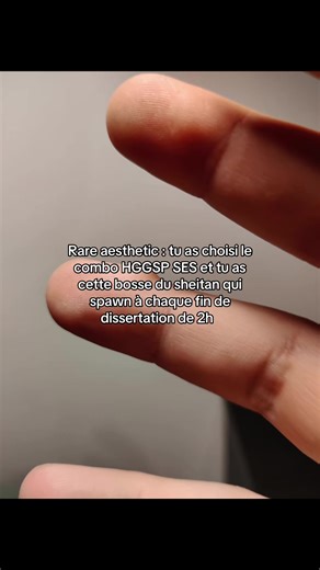 L'enfer du Bac : Combinaison HGGSP SES