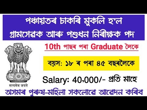গাঁও পঞ্চায়ত বিভাগত চাকৰি আহিল ২০২৬ | new job vacancy 2026 | assam govt job recruitment 2026 | 
