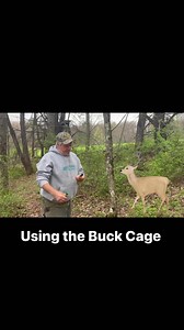 2K views · 16 reactions | Using the buck cage with Smokey’s deer lure. | Fur Life TV | Facebook