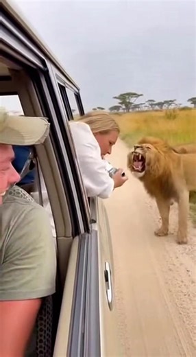 ScariestThingsEver (@scariestthingsever)’s videos with original sound - ScariestThingsEver