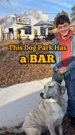 Family Adventures VA on Instagram: "𝗙𝗿𝗲𝗱𝗲𝗿𝗶𝗰𝗸𝘀𝗯𝘂𝗿𝗴’𝘀 𝗻𝗲𝘄𝗲𝘀𝘁 𝗱𝗼𝗴 𝗽𝗮𝗿𝗸 & 𝗽𝘂𝗯 𝗶𝘀 𝗼𝗳𝗳𝗶𝗰𝗶𝗮𝗹𝗹𝘆 𝗼𝗽𝗲𝗻 🐶🍺 This spot is such a fun concept with three ways to play: 🐾 Hang out in the taphouse - no dog needed 🐕 Bring your pup and grab a day pass to the park ($10/dog) 🎉 Join the pack with a membership and unlock exclusive perks 💦 Water stations, designated play areas, and multiple levels to play & relax make it easy to unwind while your dog has the best ti