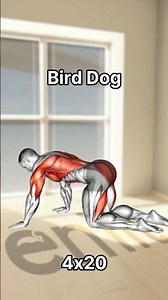 Top 5 Exercises for Back Pain #fitness #backpain #exercises