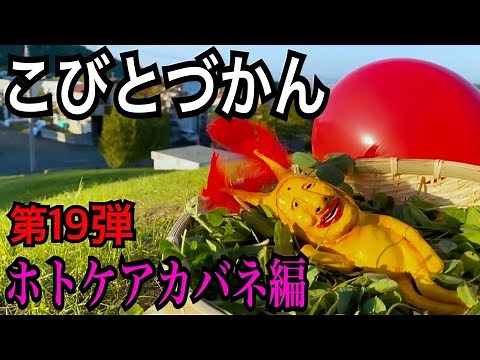 【こびとづかん】ホトケアカバネ見つけるまで帰れま10！！リベンジ編
