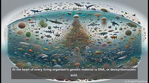 Base pair in biology