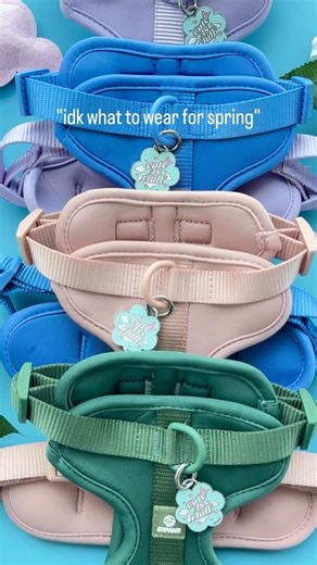 we had a few ideas…🌸 shop walk at empawr.com #dogharness #dogaccessories #spring #dog #EMPAWR