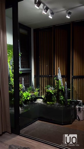 Những Lâu Đài Trong Mây - by Lúa Design ##rainforest #terrarium #lúadesign #nhadep #naturedecor