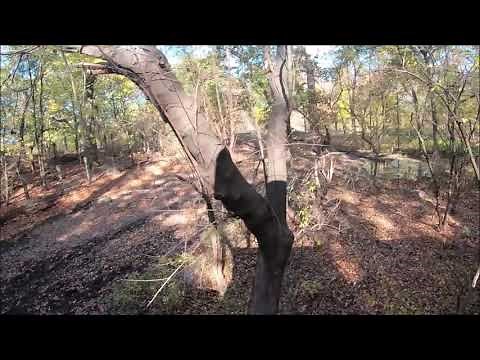 Wild Asia Monorail - Bronx Zoo