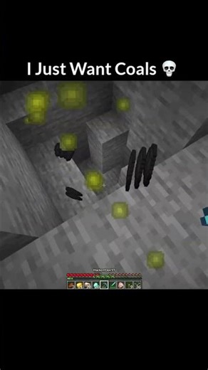 Minecraft Bro Found Some Coals💀
