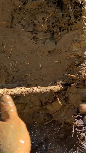 3.4K views · 220 reactions | Making a Clay Oven from Scratch – Building Village Tradition With our own hands, we shape and craft a sturdy clay oven, the heart of many delicious meals in our mountain village. This timeless oven brings warmth and flavor to every dish cooked within. #ClayOven #VillageCraft #TraditionalCooking #MountainLiving #HandmadeOven | Village Show | Facebook