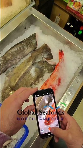 How We Deliver Seafood Fast & Fresh – From Ocean to Your Table | Global Seafoods #liveseafood