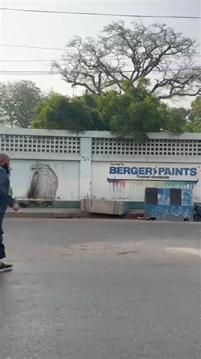 الشبو (أو ما يُعرف بالآيس، الكريستال) هو مخدر اصطناعي منشط شديد الخطورة وسريع الإدمان، يؤثر بشكل مباشر وعنيف على الجهاز العصبي المركزي ويظهر غالباً على شكل بلورات زجاجية شفافة أو بيضاء تشبه الثلج (ومن هنا جاءت تسمية "الآيس")يسبب فقدان كامل للارتباط بالواقع وهذا الانفصال العقلي والاضطرابات النفسية الخطيرة تدفع المتعاطي مباشرة نحو ارتكاب جرائم بشعة.