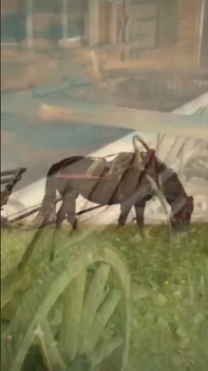 History of Dump Trucks 🚚 How They Changed Over Time