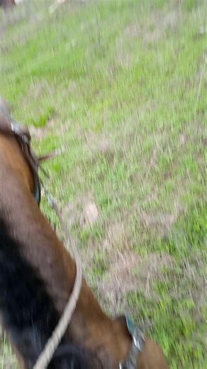 Videos de Nexan Bohórquez (@nexan.bohrquez) con “sonido original - Pepoheroico9”