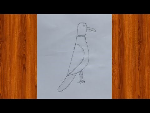 Parrot drawing easy step by step #viralvideo beautiful parrot drawing how to draw parrot #viralvideo