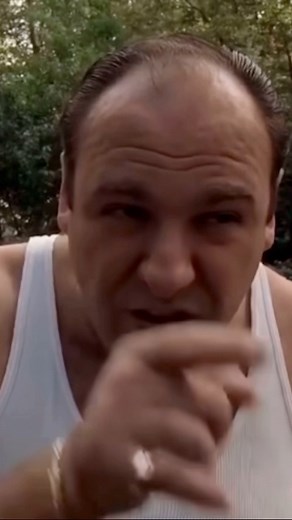 Salvatore John Vitolo on Instagram: "The Sopranos 1999 ‧ Drama ‧ 6 seasons: Tony Soprano juggles the problems of his fractious family with those of a “Family” of a different sort - the mob. He sees a therapist to deal with his professional and personal problems, which bring on panic attacks. He deals with personal and professional power struggles, affairs, violence, the threat of exposure and betrayal, and a whole bunch of people being whacked. First episode date: January 10, 1999 (USA) Theme so