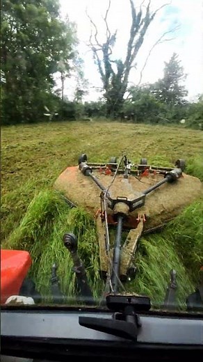 Brush Hogging an Overgrown Hayfield!