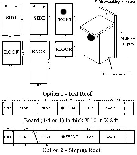 American Kestrel Nest Box Plans