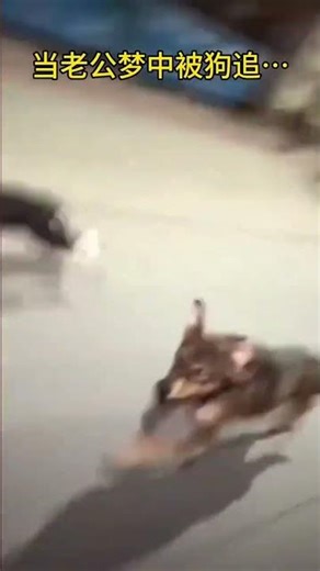 Overcoming Dog Chasing Nightmares: Expert Tips Inside