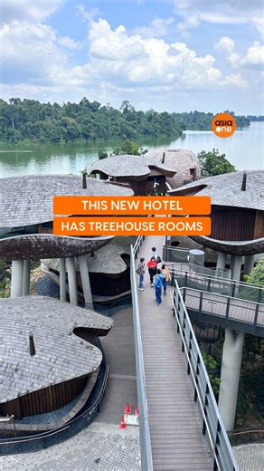 984K views · 3.4K reactions | The new Mandai Rainforest Resort will be welcoming guests come April 2. Visitors can look forward to staying in a treehouse, enjoying meals at an omakase-style restaurant and relaxing at a spa. | AsiaOne | Facebook