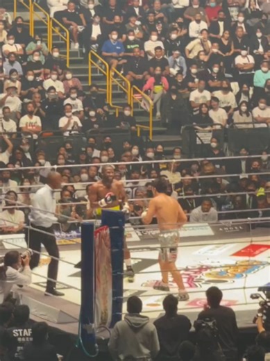 凄い歓声だった｜rizin 朝倉未来 メイウェザー